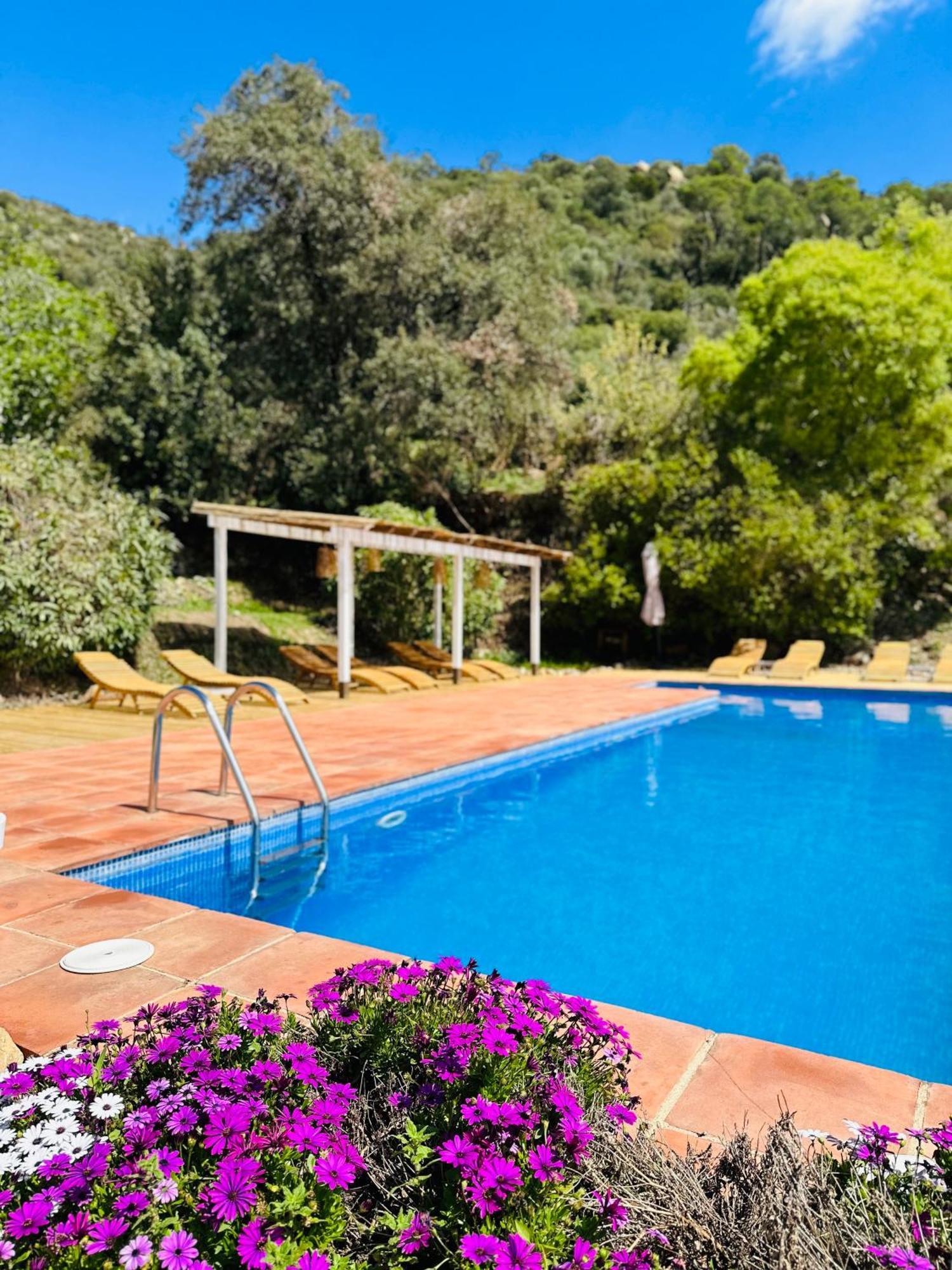 פלטחה ד'ארו B&B La Vista Brava מראה חיצוני תמונה